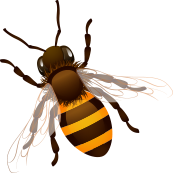 bee